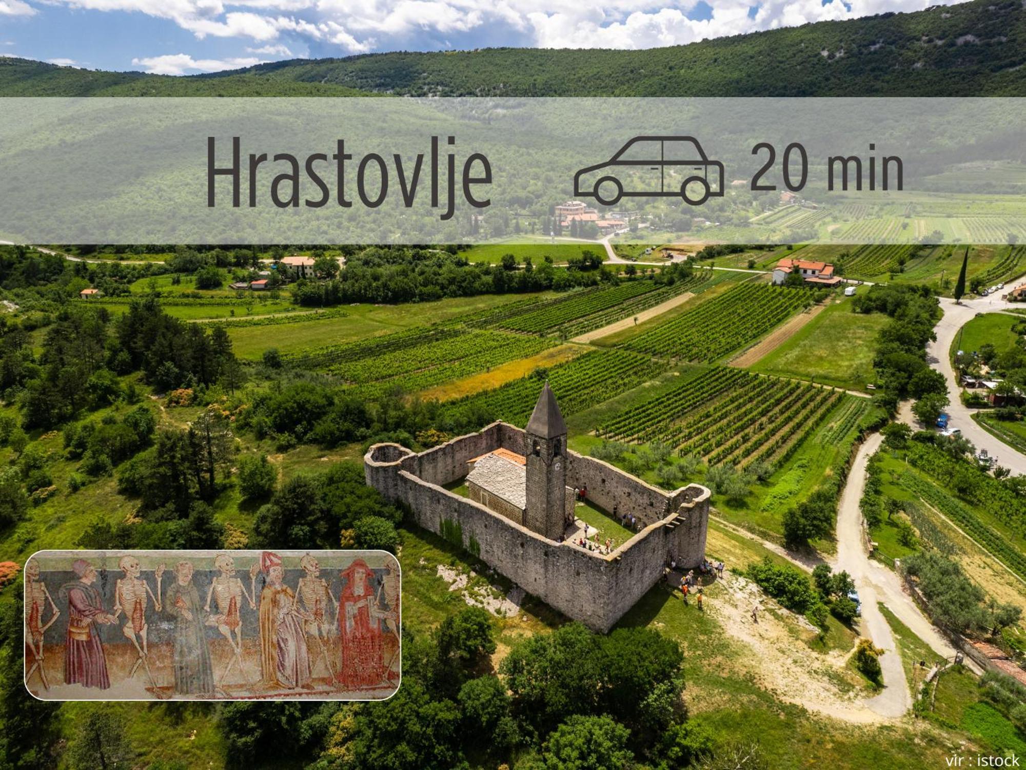 Casa Miranda - Family Comfort In A Quiet Area, Near The Sea, With Bbq And Free Parking Zgornje Skofije 외부 사진